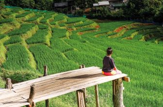 Woman sitting on wooden platform overlooking lush green rice terraces