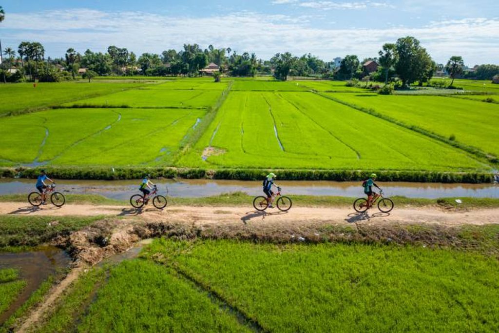 Cycle the Mekong Island