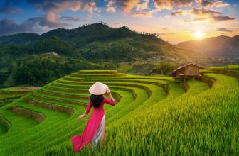 Woman in Vietnamese dress walking on green terraced rice fields at sunset