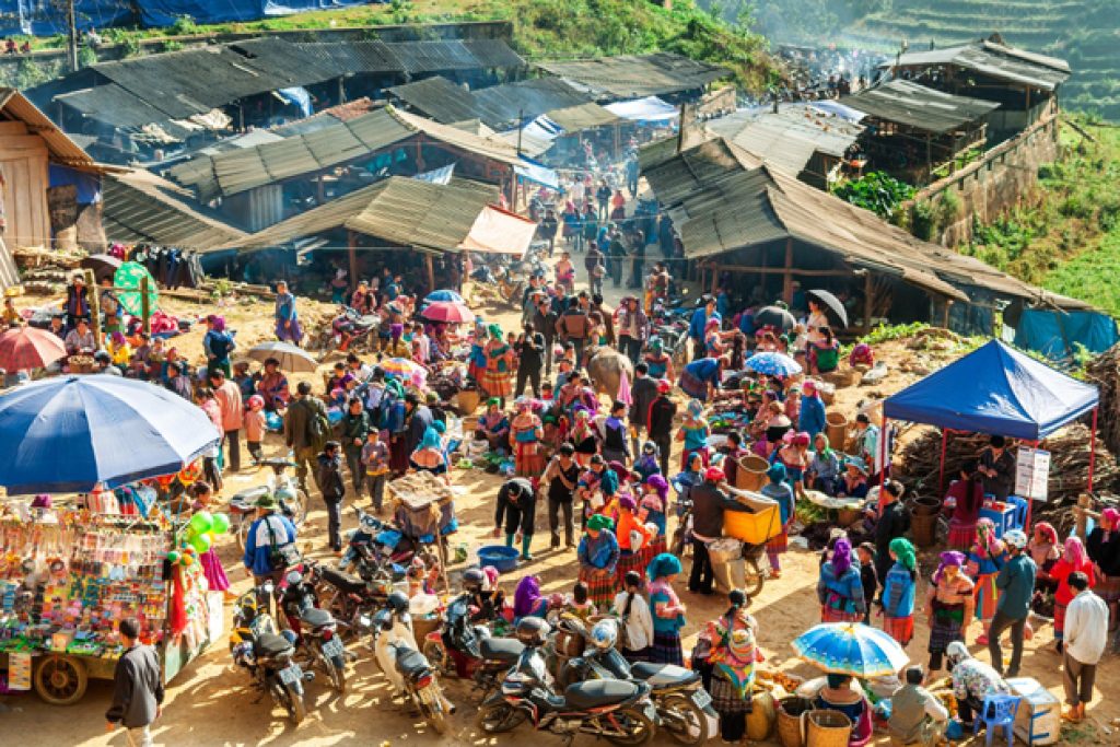 Can Cau Market & Chay River Discovery