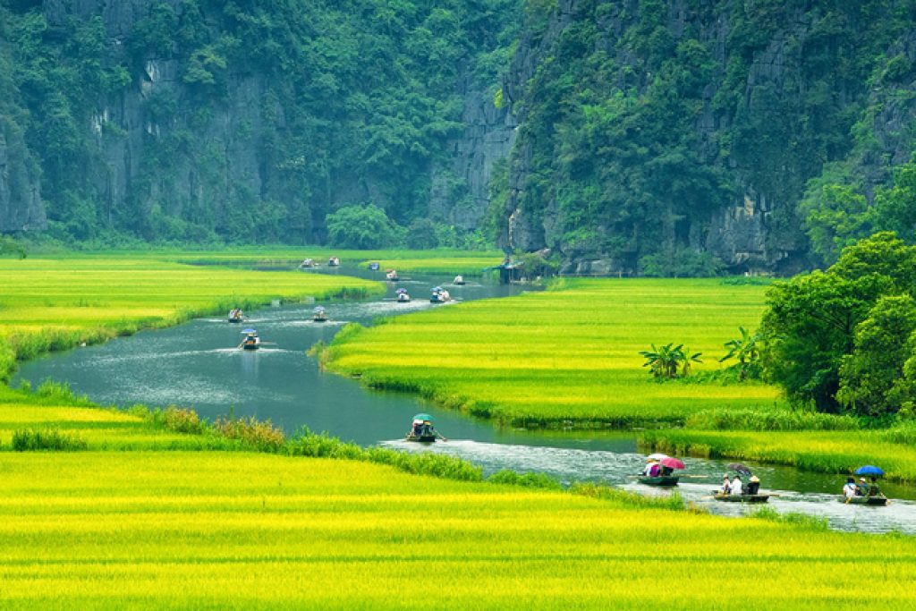 Ninh Binh: Ancient Capital, Caves and Sampan Cruise