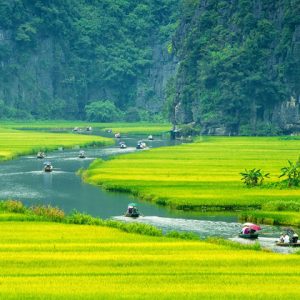 Ninh Binh: Ancient Capital, Caves and Sampan Cruise