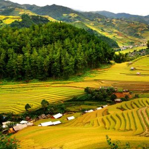 Hoa Binh and Mai Chau: Valley Landscapes and Ethnic Heritage