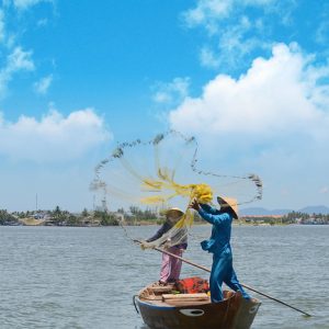 Fish and Rice Discovery