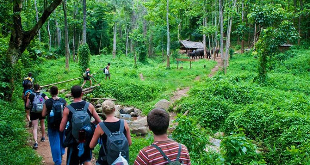 Cuc Phuong National Park: Wildlife, Conservation and Jungle Trek