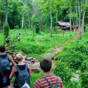 Cuc Phuong National Park: Wildlife, Conservation and Jungle Trek
