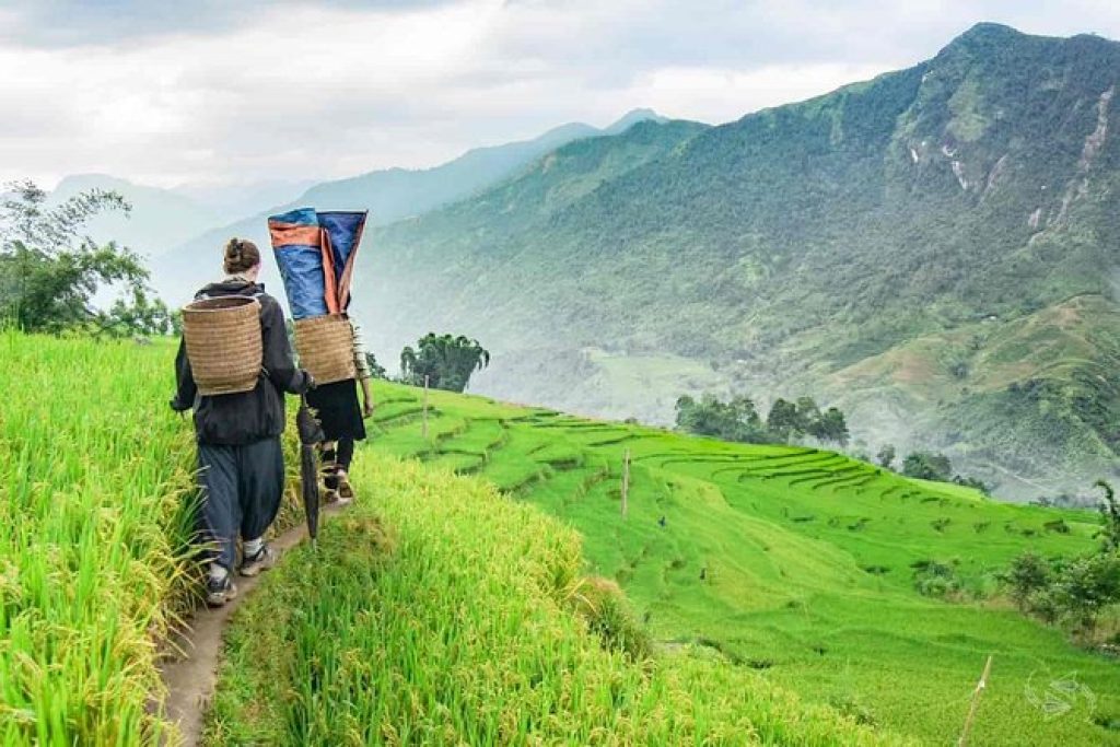 Remote Highlands Trek: Sapa to Ban Ho