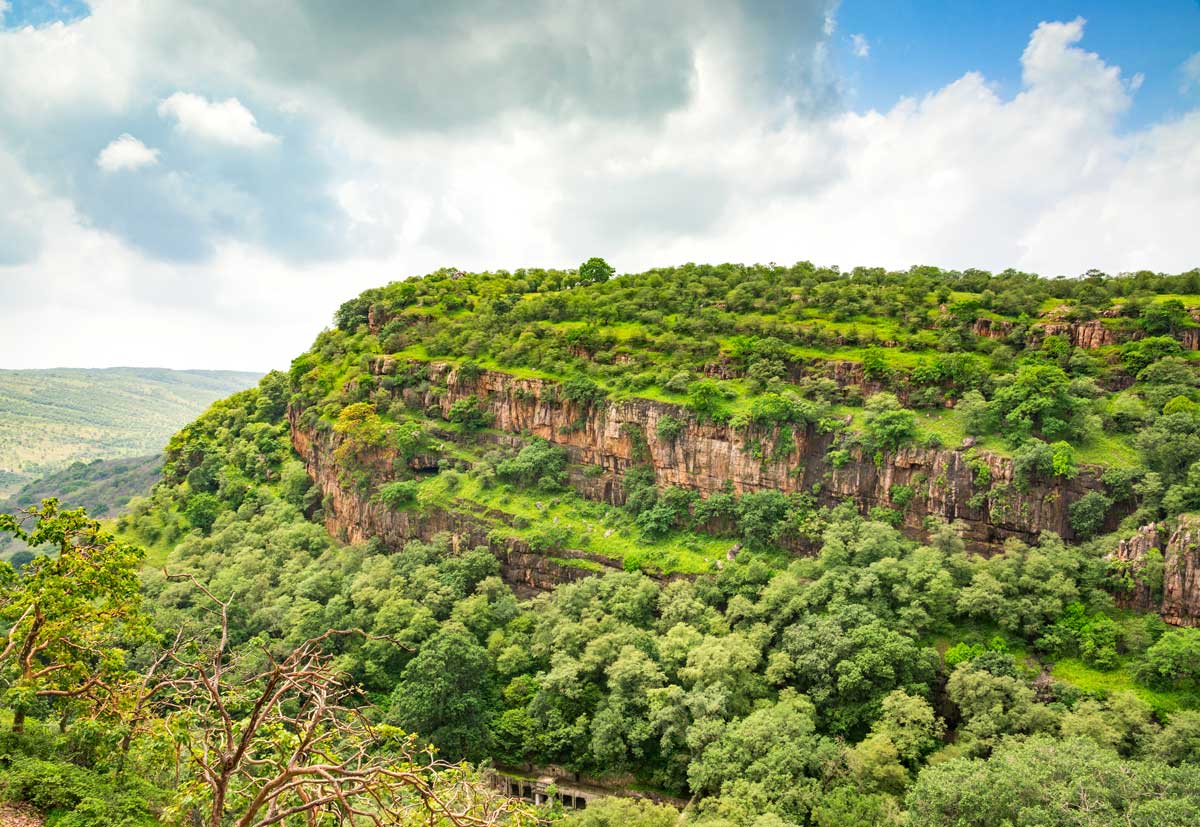 Green forested hills and rocky cliffs under partly cloudy sky in Ranthambore India