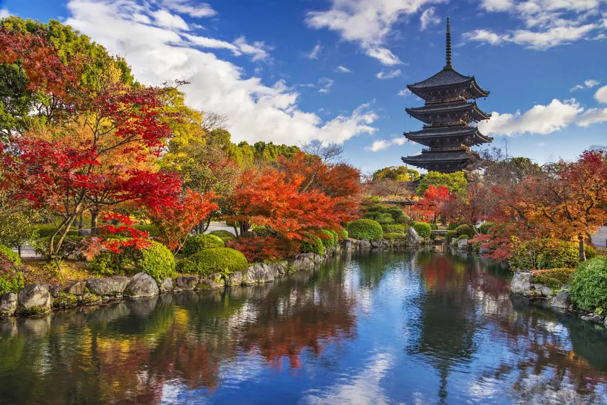 Japanese five-story pagoda beside pond with autumn-colored trees and blue sky