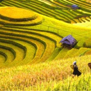 Muong Hoa Valley Trek & Ethnic Villages