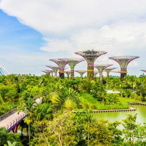 Gardens by the Bay with Supertree Grove and glass domes surrounded by green plants