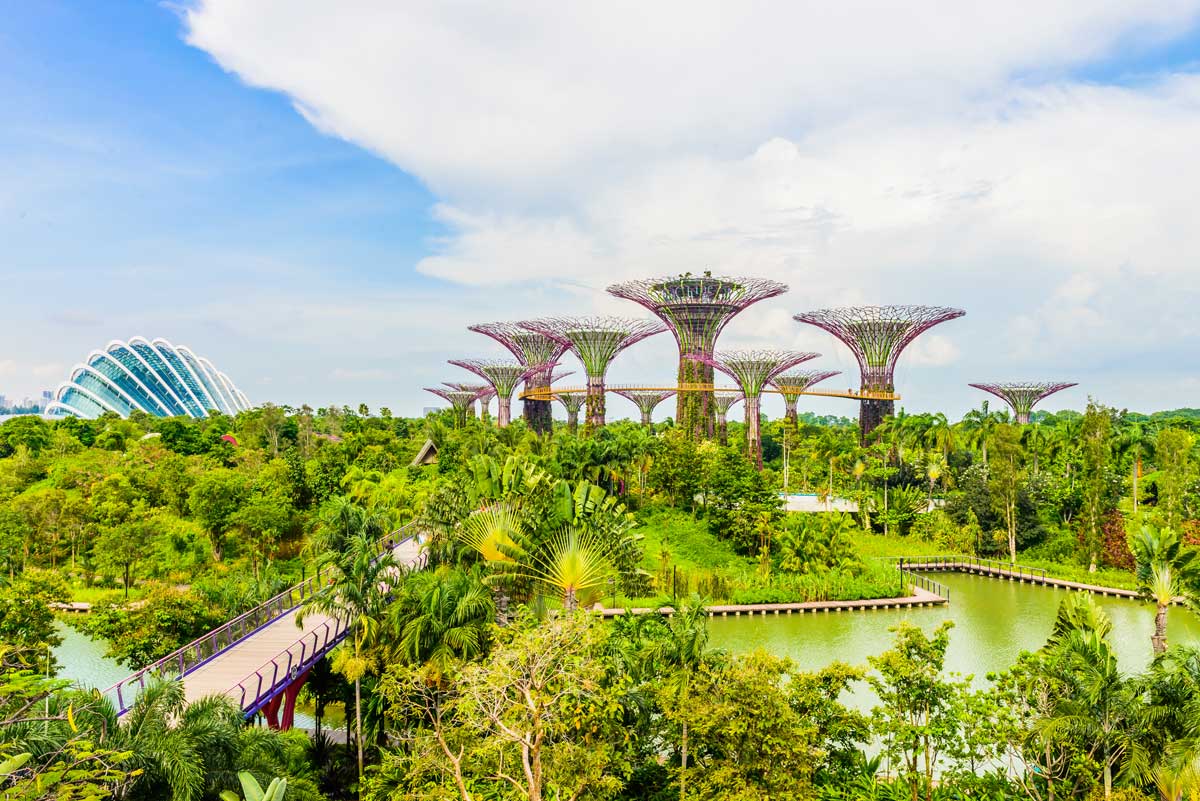 Gardens by the Bay with Supertree Grove and glass domes surrounded by green plants