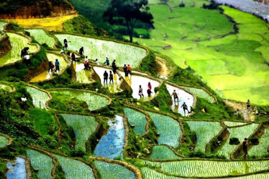 Sapa Valley Cycling & Ban Ho Discovery