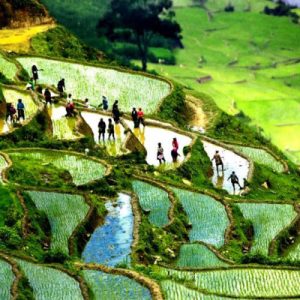 Sapa Valley Cycling & Ban Ho Discovery