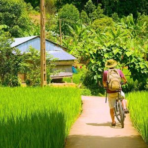 Thuy Bieu Eco-Village & Hue Cooking Experience