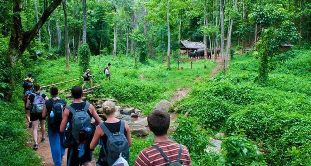 Cuc Phuong Trek & Muong Homestay Adventure
