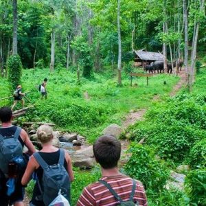 Cuc Phuong Trek & Muong Homestay Adventure