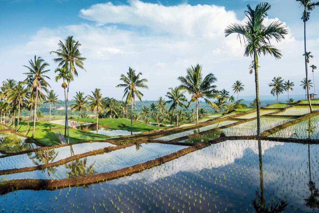 Hidden Treasures of Lombok