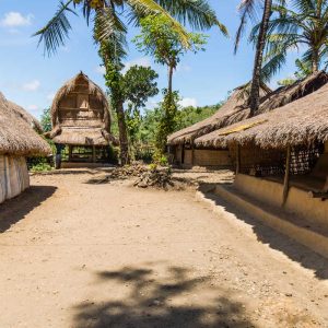 Traditional thatched-roof village houses surrounded by palm trees on a sunny day