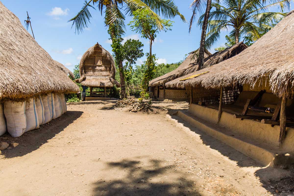 Traditional thatched-roof village houses surrounded by palm trees on a sunny day