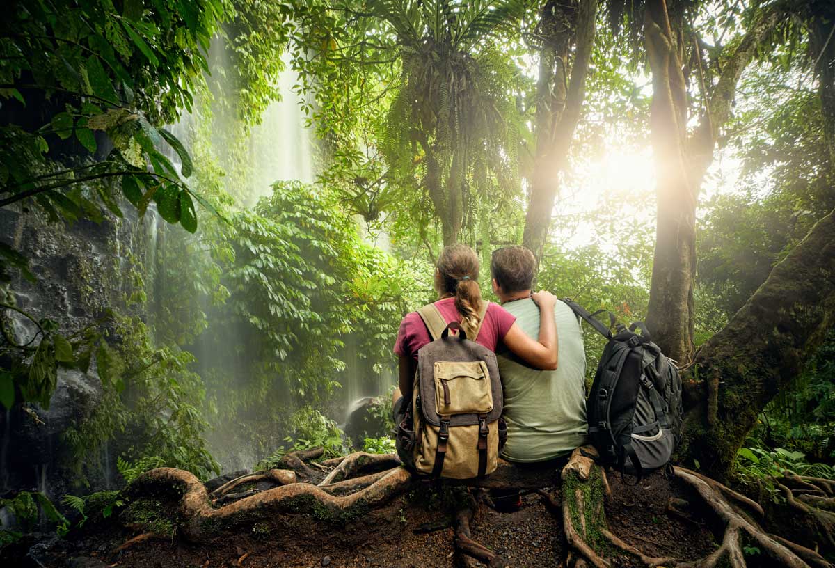 Couple sitting on tree roots watching misty waterfall in dense tropical rainforest