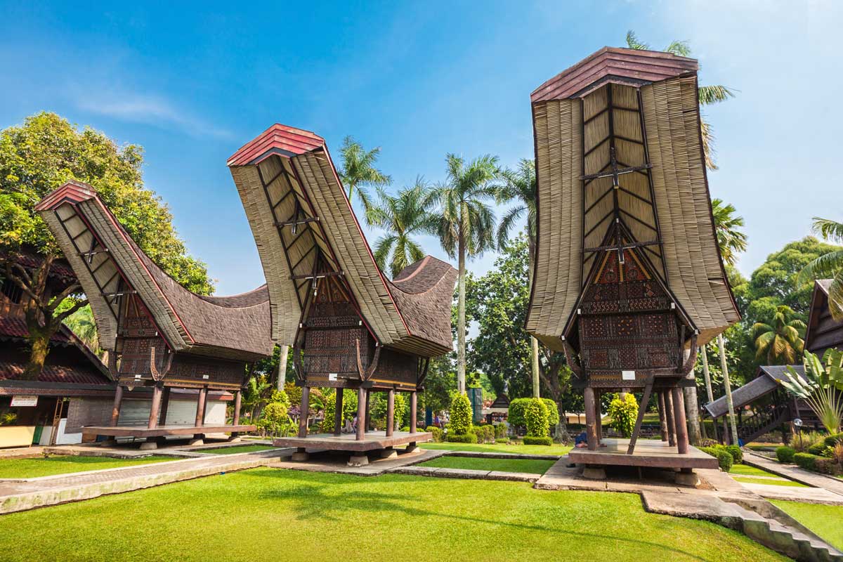 Three traditional Tongkonan houses with curved roofs standing on stilts in tropical garden