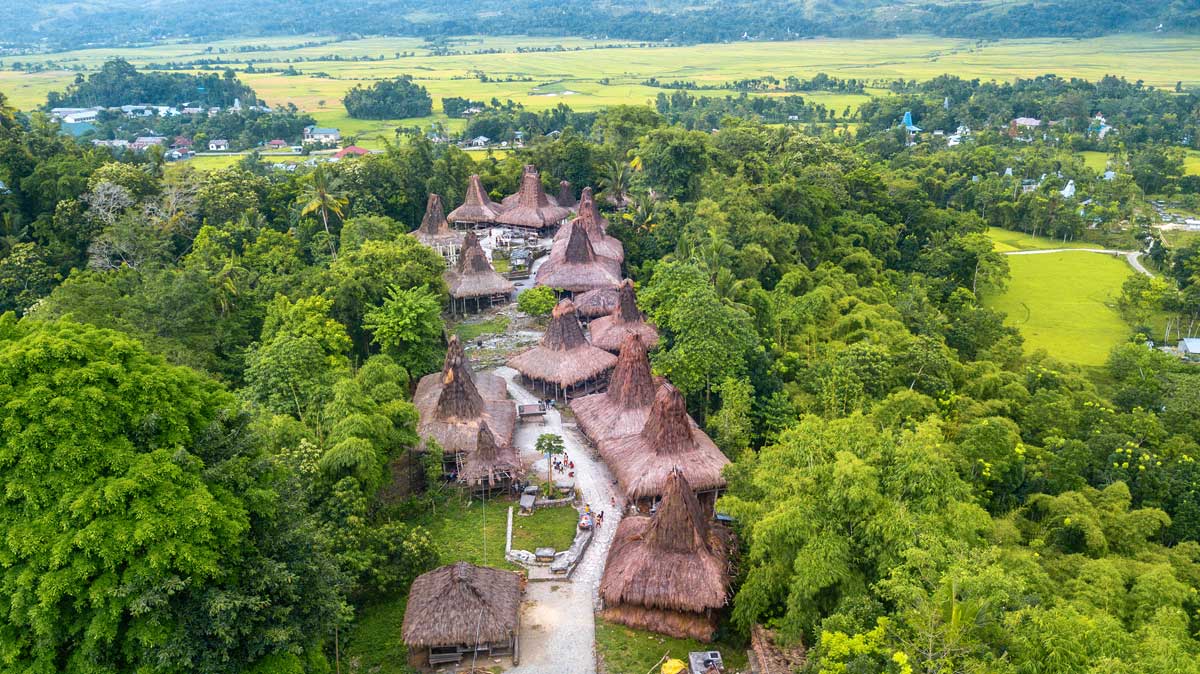 Aerial photo of traditional thatched roof houses in tropical green village