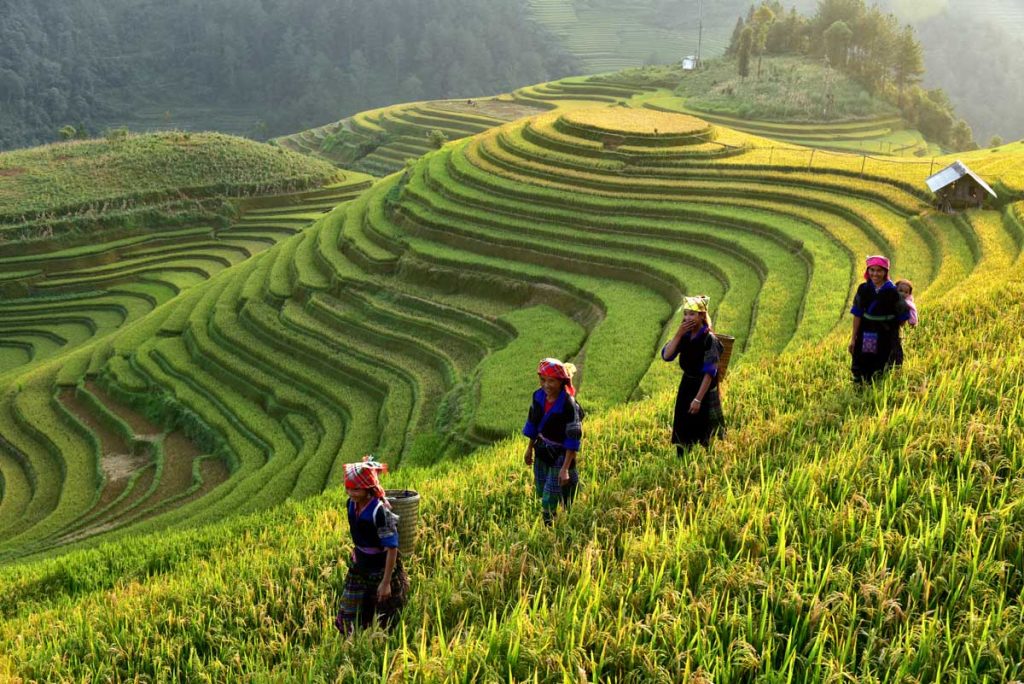 Sapa Explorer – Heart of the Highlands