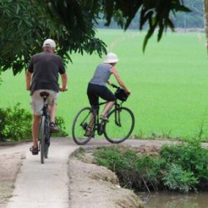 Ben Tre Mekong Village Experience
