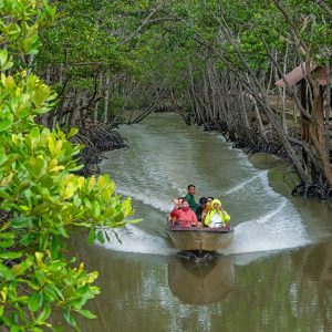 Can Gio Mangrove Forest