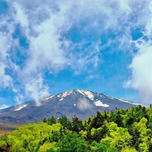 Snow-capped mountain peak above lush green forest under blue sky with clouds