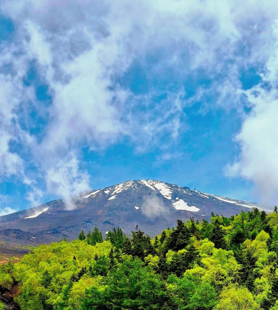 Hakone Natural Wonders & Cultural Highlights