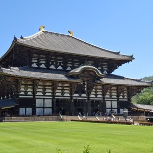 Todai-ji temple with wooden architecture and green lawn on sunny day