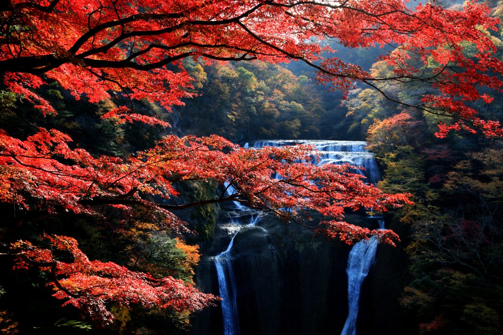 Nikko Cultural & Scenic Highlights