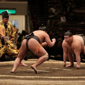 Tokyo’s Ultimate Sumo Night Experience