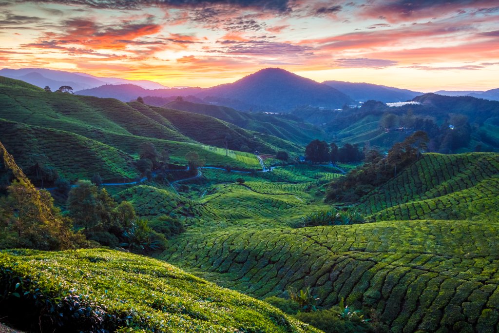 Mount Jasar Cloud Forest Trek