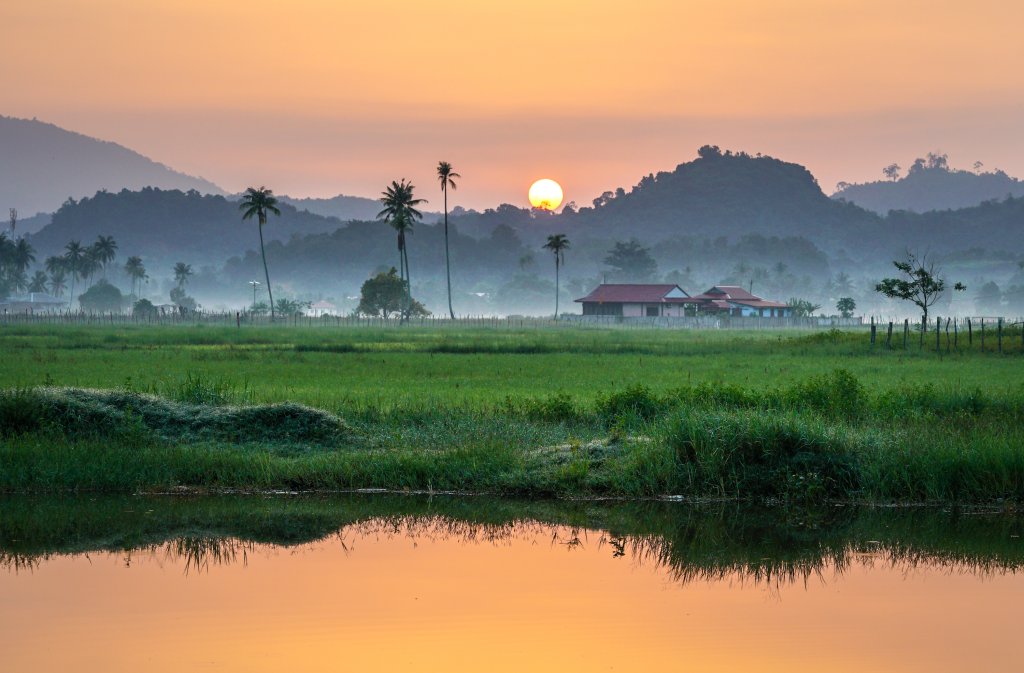 Northern Mangrove Tours