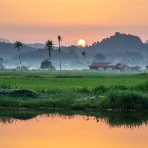 An Evening at Langkawi Dream Forest