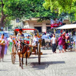 Crowded street with horse-drawn carriage and people walking under green trees