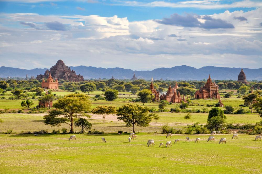 Ancient temples and pagodas scattered in green fields with grazing cattle and mountains