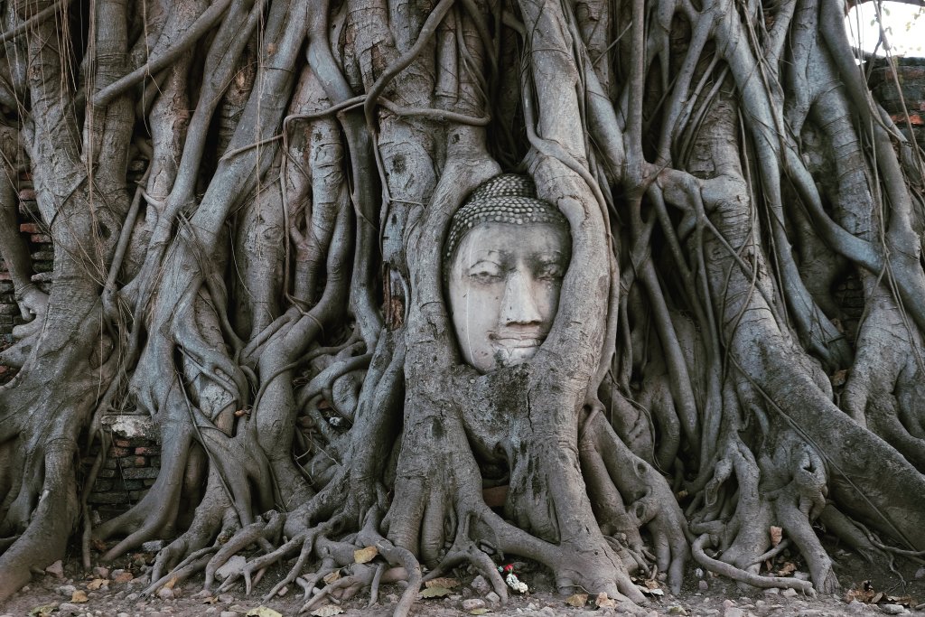 Bangkok to Ayutthaya Historical Day Trip