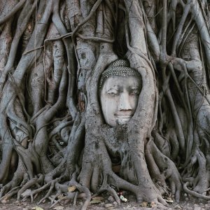 Bangkok to Ayutthaya Historical Day Trip