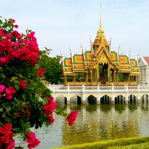 Traditional Thai golden pavilion over pond with pink flowers in foreground