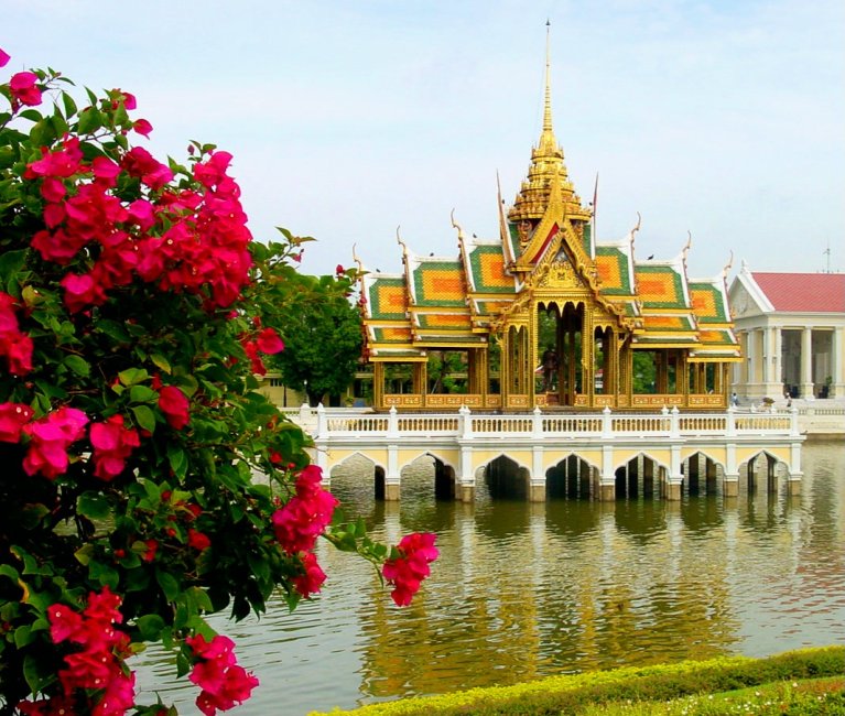 Traditional Thai golden pavilion over pond with pink flowers in foreground
