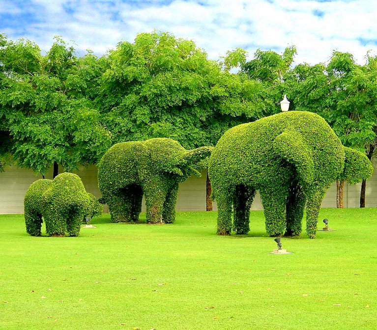 Three large green elephant-shaped topiary bushes on grassy lawn with trees behind