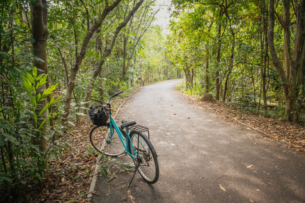 Morning/Afternoon Biking Bang Krachao