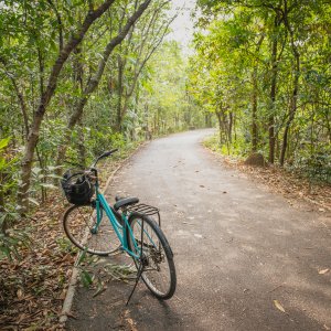 Morning/Afternoon Biking Bang Krachao