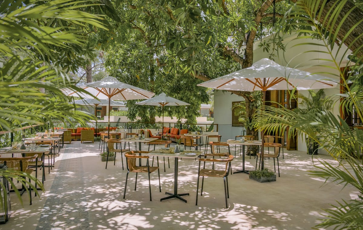 Restaurants and Bars