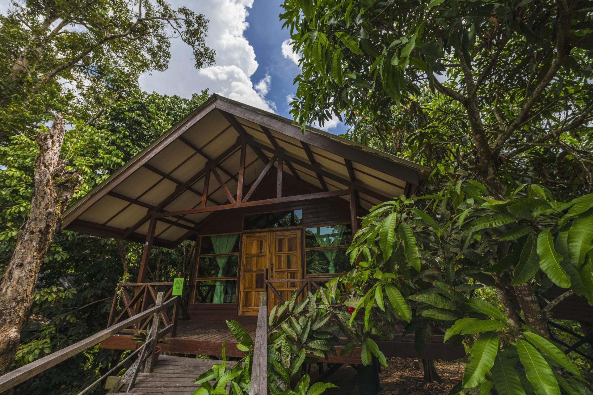 Wooden lodge at Borneo Sepilok Rainforest Resort surrounded by tropical trees