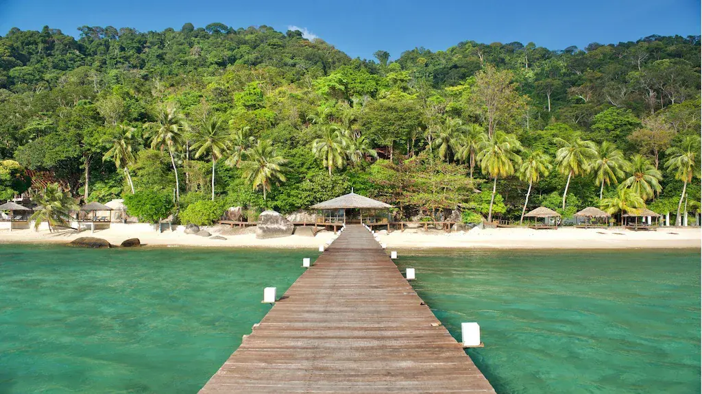 Wooden pier leading to tropical beach with palm trees and clear turquoise water at Japamala Resort